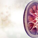 KidneyDisease_share-1024x683