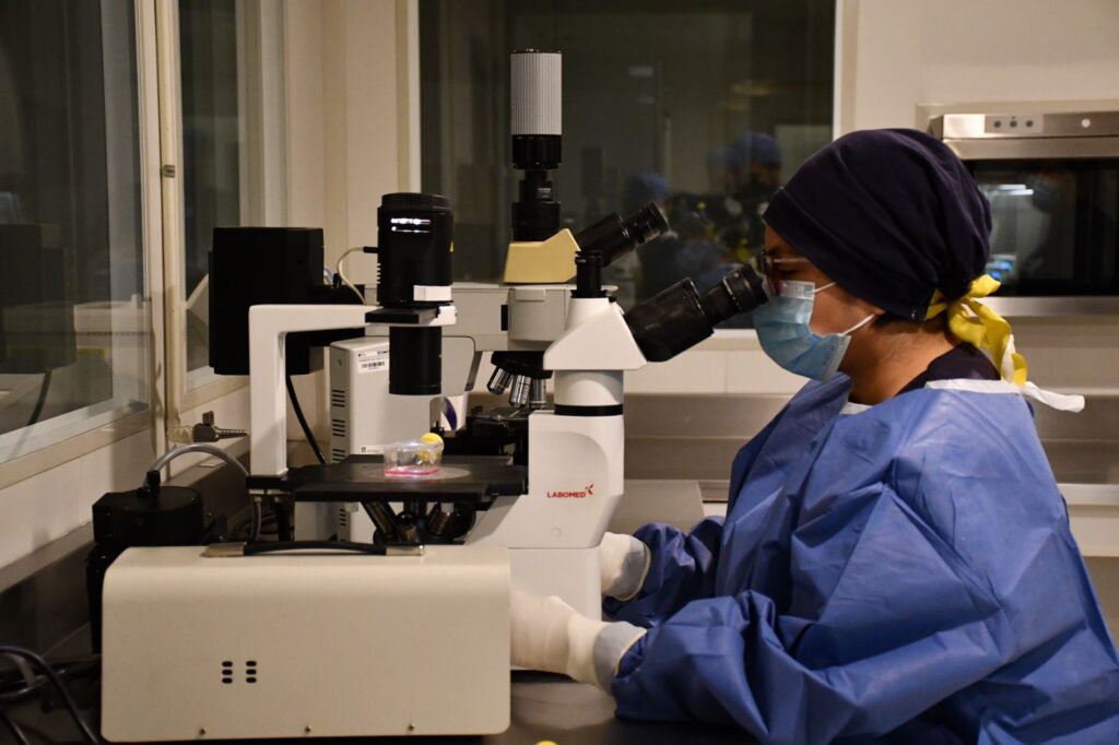 Imagen de WhatsApp 2024-12-06 a las 07.03.25_f57be2ef