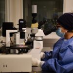 Imagen de WhatsApp 2024-12-06 a las 07.03.25_f57be2ef