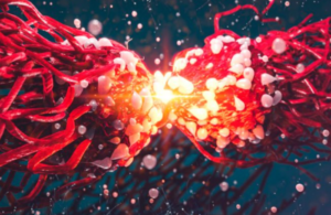 Captura-de-pantalla-2023-04-12-101325-e1681316118563-700x454