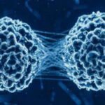 19-04-22-perlas-800x445