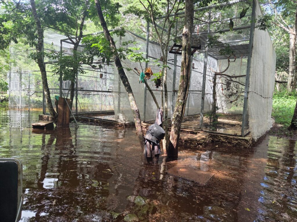 WhatsApp Image 2025-09-21 at 5.09.42 PM (3)