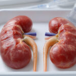 AQP0fL9FF9DpS3tIH0zCp5sY_ppE8BH52jBOjD_SkjD2ov60JgDbVuvvHNaSS3MJeZzPkOM4xvhGBUMPmE2xOsOcPYX8M9KMsfXzmBCOZfjb0TUCSe97GfeEBMYtYe0L