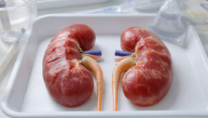 AQP0fL9FF9DpS3tIH0zCp5sY_ppE8BH52jBOjD_SkjD2ov60JgDbVuvvHNaSS3MJeZzPkOM4xvhGBUMPmE2xOsOcPYX8M9KMsfXzmBCOZfjb0TUCSe97GfeEBMYtYe0L