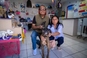 WhatsApp Image 2025-10-30 at 14.50.52