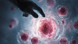 AQMvCKmTPBIkkZ9hAJunRtHCaZ0b3Fuu6EYAGMegusOoy6qee6dDGbymAn2Kxiu8SqhM9qfjuY-LbFxYh6kHnVGpe5nFNwdJY6kkLTweiNBMyB143D0xD5v69TJypPYgyHHHxfzXstvRcZ1uEhRijChspJ9KYg