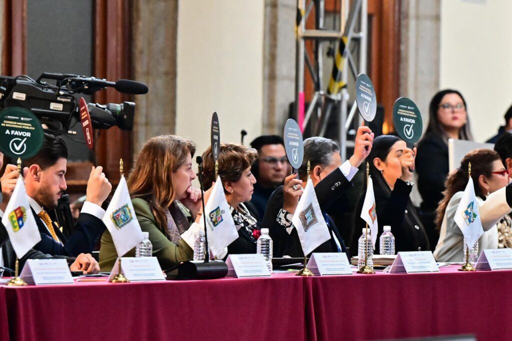 WhatsApp Image 2025-12-11 at 15.46.51