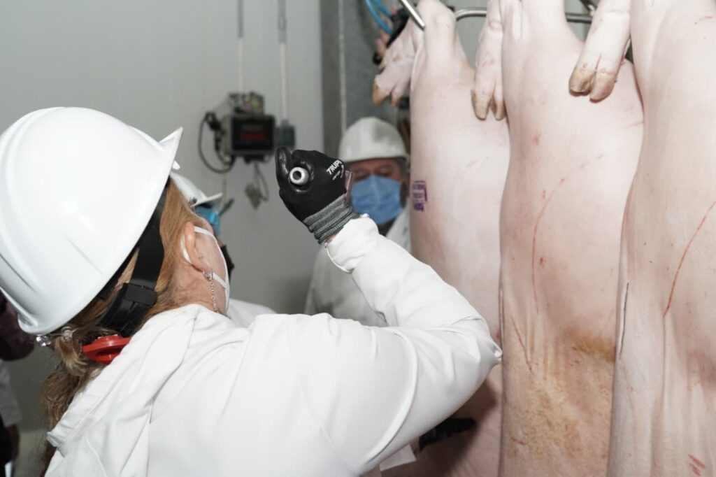 WhatsApp Image 2026-01-23 at 4.16.03 PM