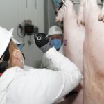 WhatsApp Image 2026-01-23 at 4.16.03 PM